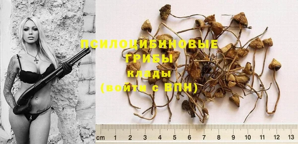 мяу мяу кристалл Няндома