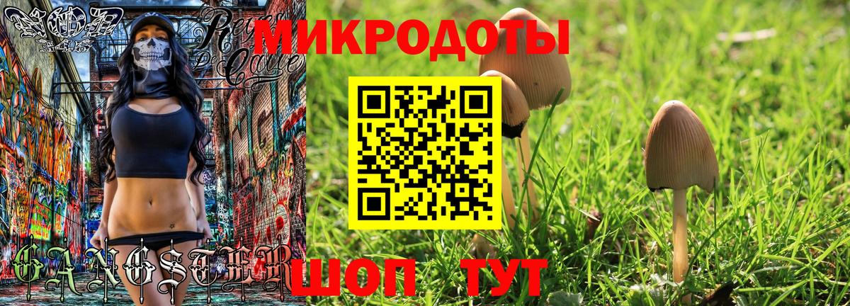 Свободный  купить  сайты  Вход с VPN  Галлюциногенные грибы GOLDEN TEACHER 